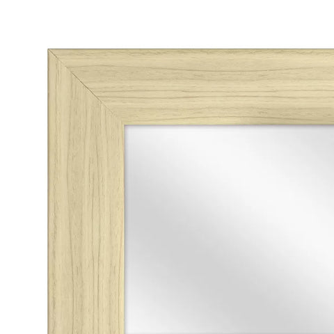 14.8" x 50.7" Over the Door Mirror - Room Essentials™