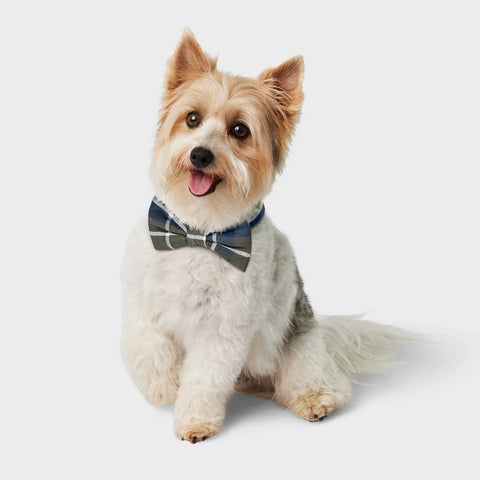 Plaid Fashion Dog Bowtie - Boots & Barkley™ One Size Fits Most