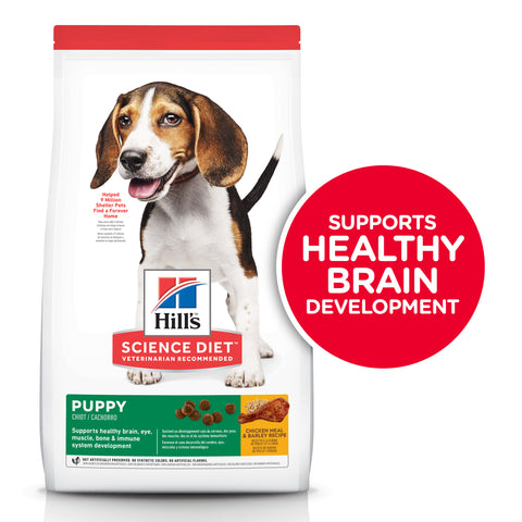 Chicken & Brown Rice Recipe Dry Puppy Food 4.5 Lbs.