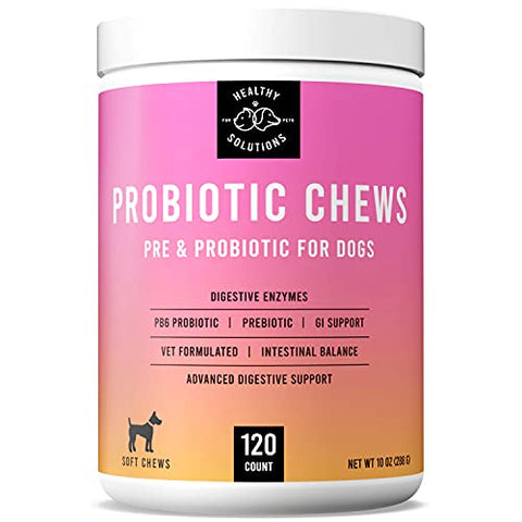 do probiotics help with allergies in dogs