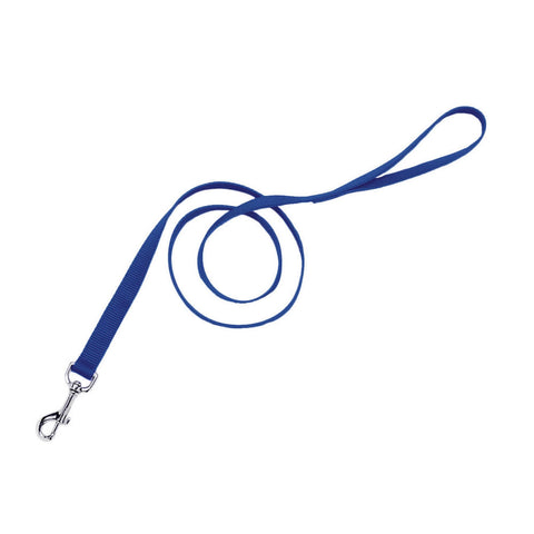 Blue Training Leash