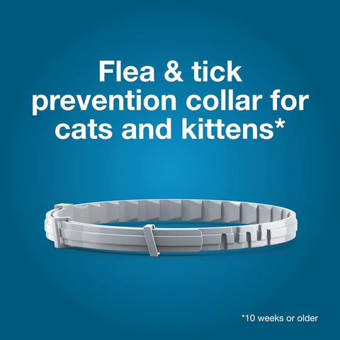 Seresto Cat Flea & Tick Treatment & Prevention Collar for Cats, 8 Months Protection (1 Collar)