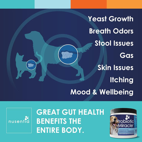 Probiotics for Dogs -(360 Scoops)-Probiotic Miracle -Advanced, Species Specific Probiotics and Prebiotics to Stop Diarrhea, Loose Stool, and Yeast-Plus Immune Support