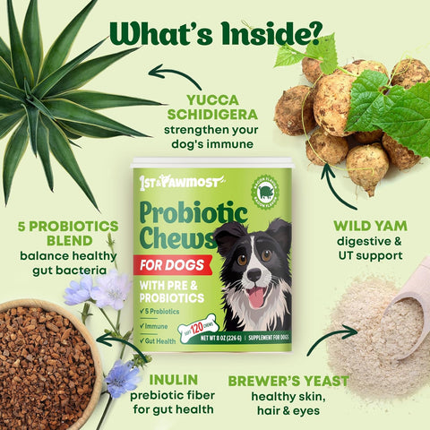 1st & Pawmost - Dog Probiotic Chews - 120 pcs