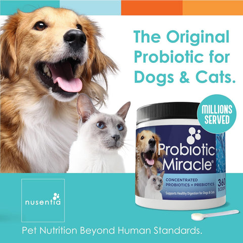 Probiotics for Dogs -(360 Scoops)-Probiotic Miracle -Advanced, Species Specific Probiotics and Prebiotics to Stop Diarrhea, Loose Stool, and Yeast-Plus Immune Support