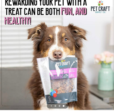 Pet Craft Supply Wild Caught Pure Dehydrated Pacific Salmon Blueberry Cranberry Superfood Healthy High in Antioxidants Vitamins Fish Oil for Small Medium Large Dog Puppy Training
Treats