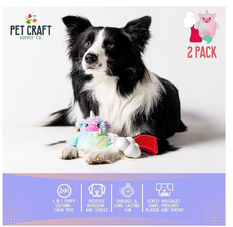 Pet Craft Supply Puppy Teething Dental Chew Teeth Cleaning Nylon

Bone Squeaky Plush Dog Toys with Super Squeaker Ball 2 Pack

Cute Tough Durable for Puppies Small Medium Dogs Aggressive
Chewers