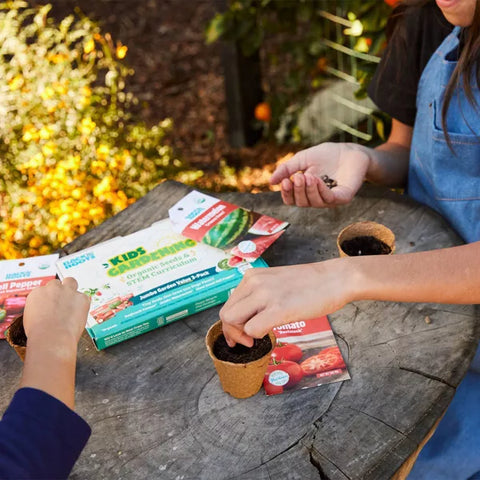 Back to the Roots 3pk Kids Gardening Organic Seeds & Stem Curriculum