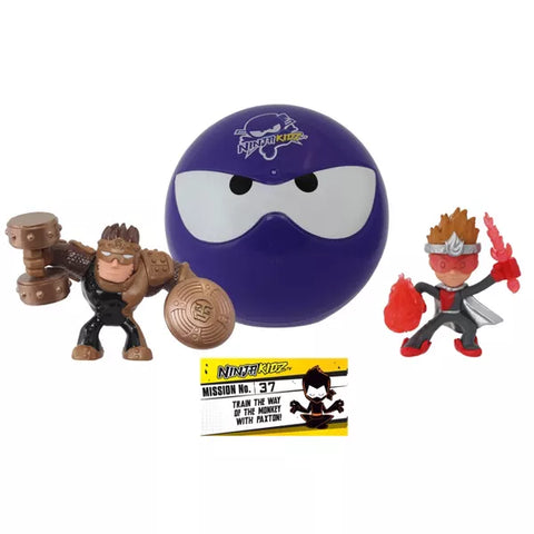 Ninja Kidz MINI Mystery Ninja Ball