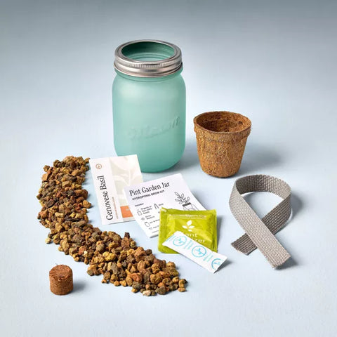 Modern Sprout Pint Jars Garden Seed Kits