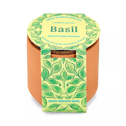 Modern Sprout Tiny Terracotta - Basil