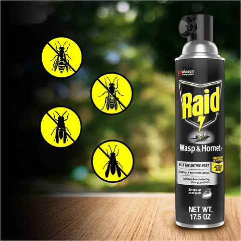 Raid 14oz 2ct Wasp & Hornet KillerTwin Pack: Kills Mud Daubers & Yellow Jackets, 22ft Spray Range