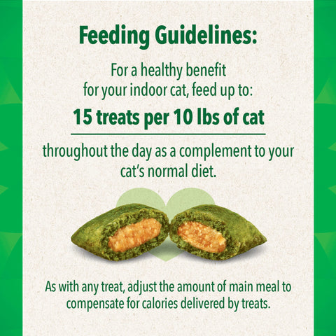 Greenies Salmon Flavor Soft Crunchy Dry Cat Treats, 16 Oz Tub